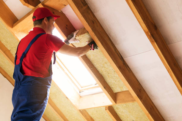  , USA Insulation Installation & Removal Pros